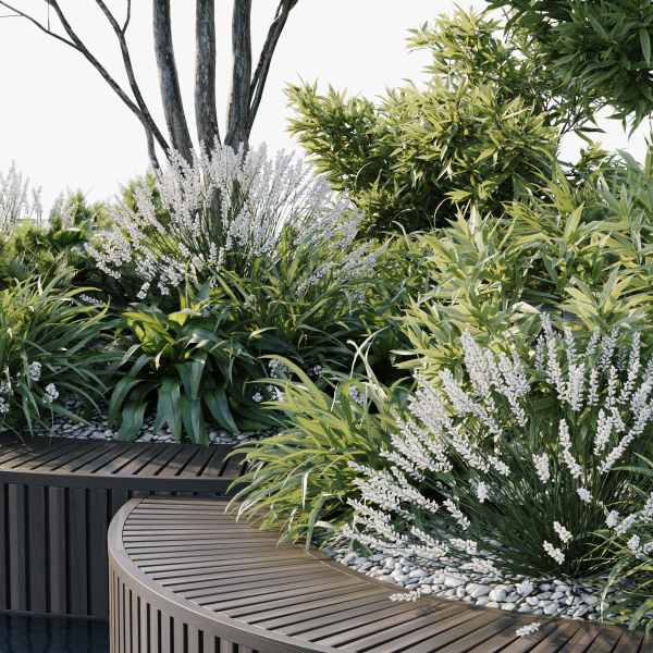 Outdoor Plants 2