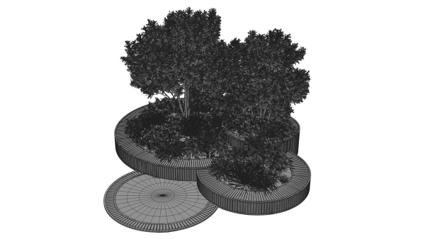 Outdoor Plants 2