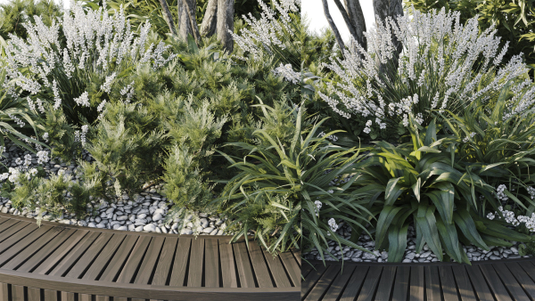 Outdoor Plants 2