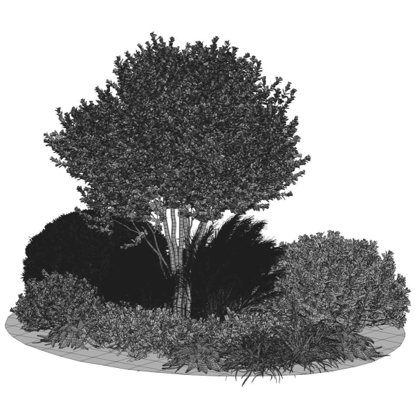 Outdoor Plants 3