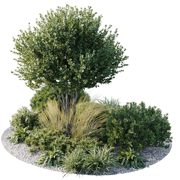 Outdoor Plants 3