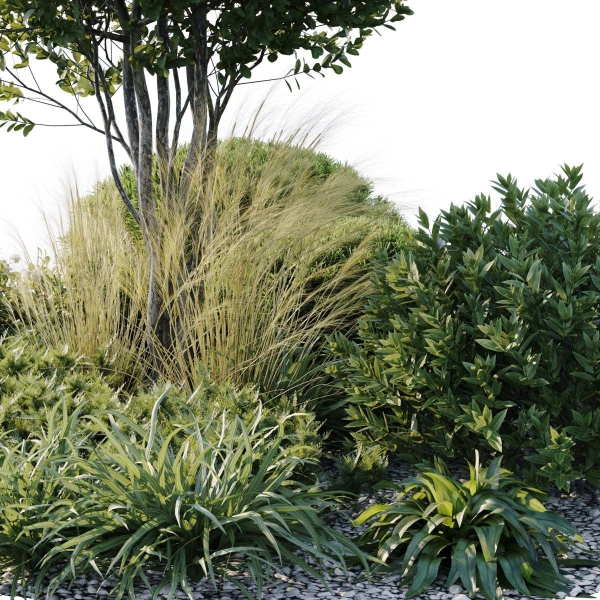 Outdoor Plants 3