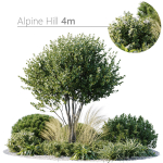 Outdoor Plants 3