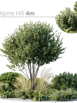 Outdoor Plants 3
