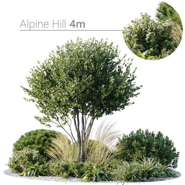 Outdoor Plants 3