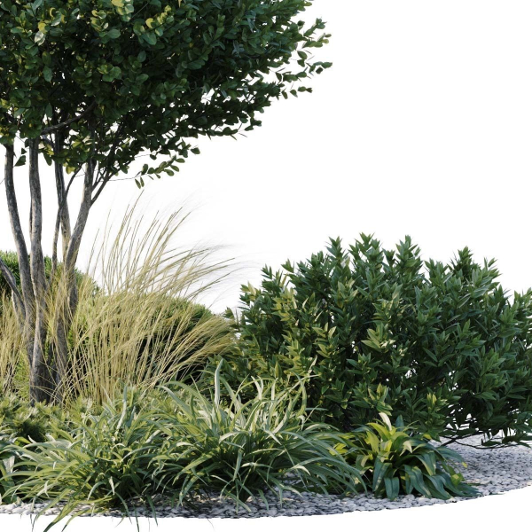 Outdoor Plants 3