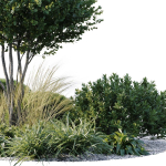 Outdoor Plants 3