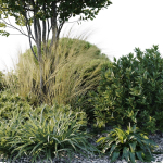 Outdoor Plants 3