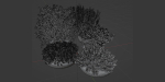 Outdoor plants collection vol 200-Blender