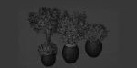 Outdoor plants collection vol 203-Blender