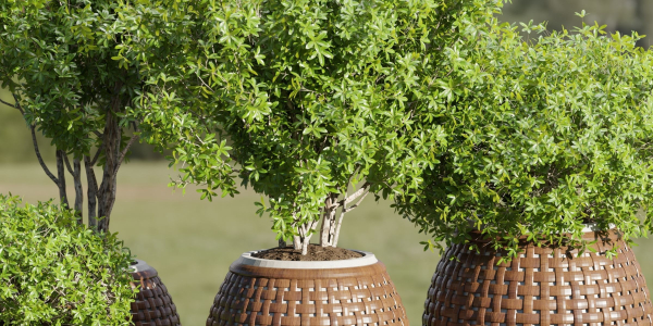 Outdoor plants collection vol 203-Blender