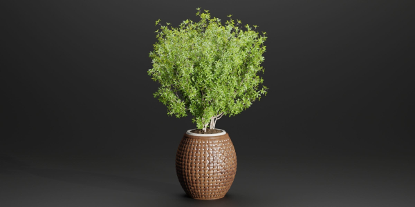 Outdoor plants collection vol 203-Blender