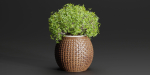 Outdoor plants collection vol 203-Blender