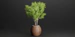 Outdoor plants collection vol 203-Blender