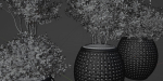 Outdoor plants collection vol 203-Blender