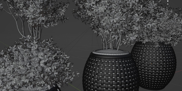 Outdoor plants collection vol 203-Blender