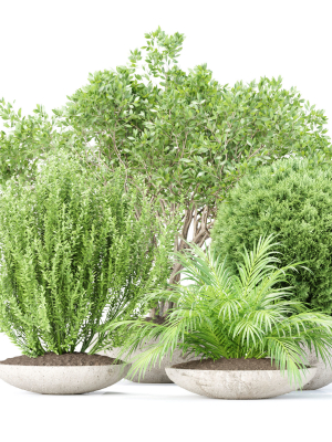 Outdoor Plants collection vol 236