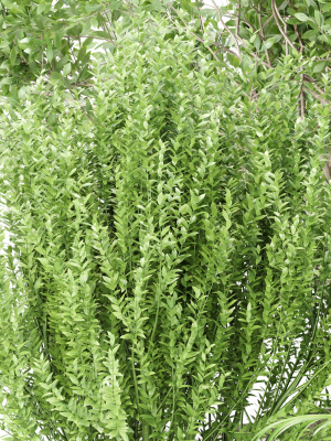 outdoor-plants-collection-vol-236-3d-model-ad70fc0d33