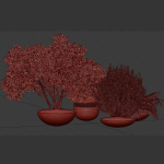 Outdoor Plants collection vol 236