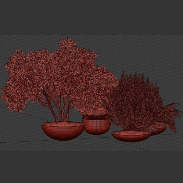 Outdoor Plants collection vol 236