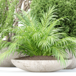 Outdoor Plants collection vol 236