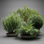 Outdoor Plants collection vol 236-Blender