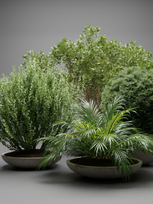 outdoor-plants-collection-vol-236-blender-3d-model-377403b5e5