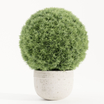 Outdoor Plants collection vol 236-Blender