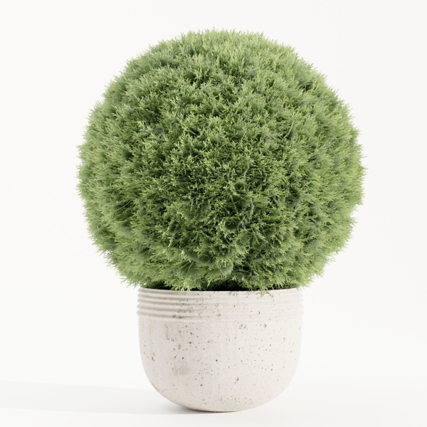 Outdoor Plants collection vol 236-Blender
