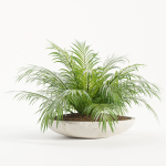 Outdoor Plants collection vol 236-Blender