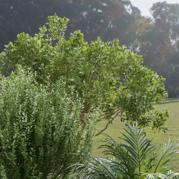Outdoor Plants collection vol 236-Blender
