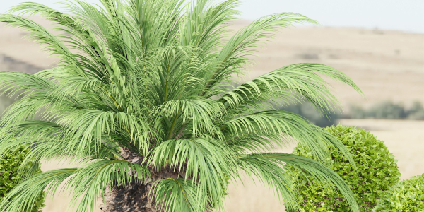 outdoor plants collection vol 24-Blender