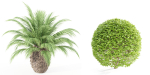 outdoor plants collection vol 24-Blender