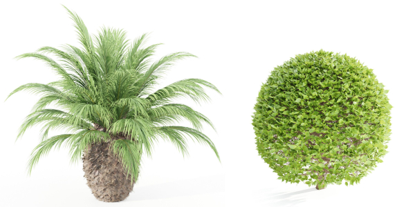 outdoor plants collection vol 24-Blender