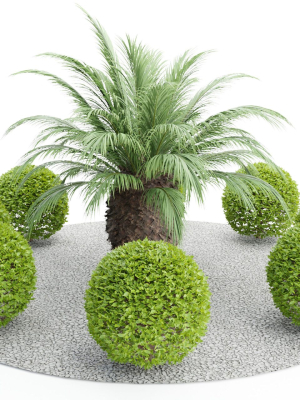 outdoor plants collection vol 24-Blender