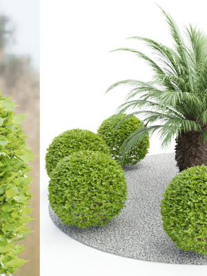 outdoor-plants-collection-vol-24-blender-3d-model-c727d3b2f6