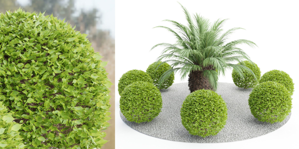 outdoor plants collection vol 24-Blender