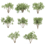 Outdoor plants Collection vol 244-3DModel