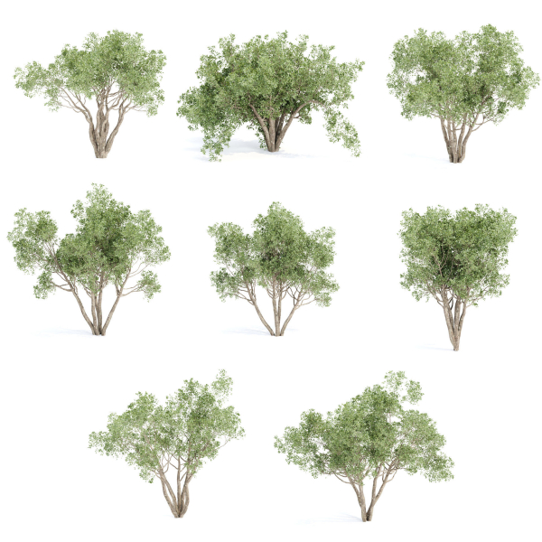 Outdoor plants Collection vol 244-3DModel