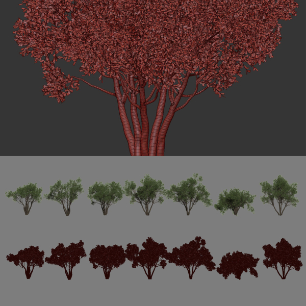Outdoor plants Collection vol 244-3DModel