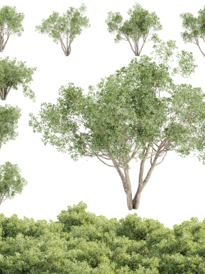 Outdoor plants Collection vol 244-3DModel