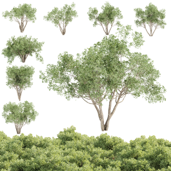 Outdoor plants Collection vol 244-3DModel