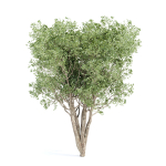 Outdoor plants Collection vol 244-3DModel