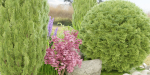 outdoor plants collection vol 27-Blender