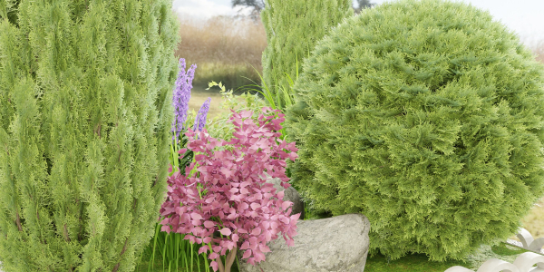 outdoor plants collection vol 27-Blender