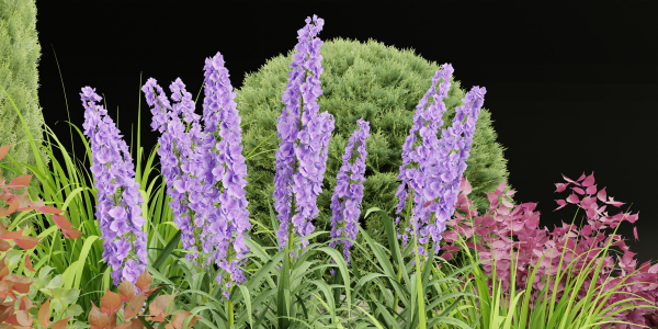 outdoor plants collection vol 27-Blender