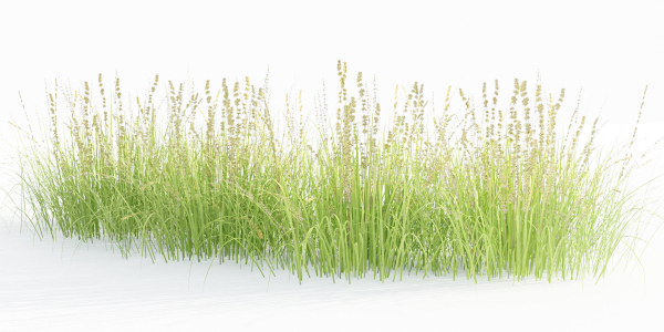 outdoor plants collection vol 80-Blender