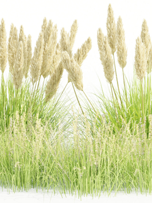 outdoor plants collection vol 80-Blender