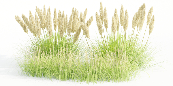 outdoor plants collection vol 80-Blender