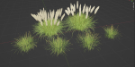 outdoor plants collection vol 80-Blender